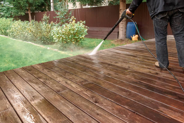 Best Solar Panel Cleaning  in Olivarez, TX